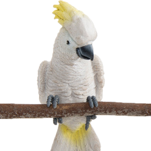 Sulphur-Crested Cockatoo Pot Sitter