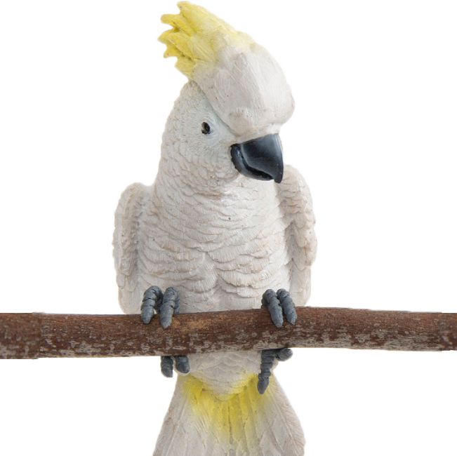 Sulphur-Crested Cockatoo Pot Sitter