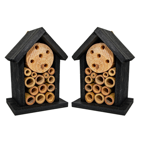 Two Small Pollinator Homes