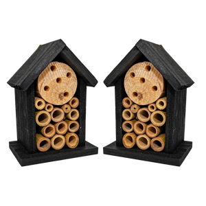 Two Small Pollinator Homes