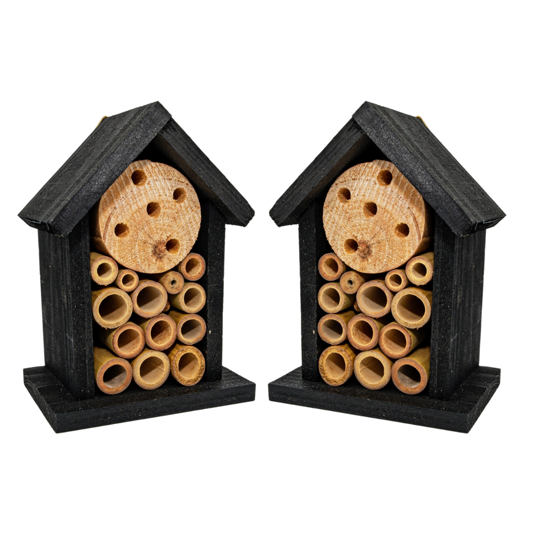 Two Small Pollinator Homes